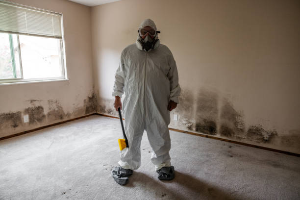 Certified Mold Removal in Lake Marcel Stillwater, WA